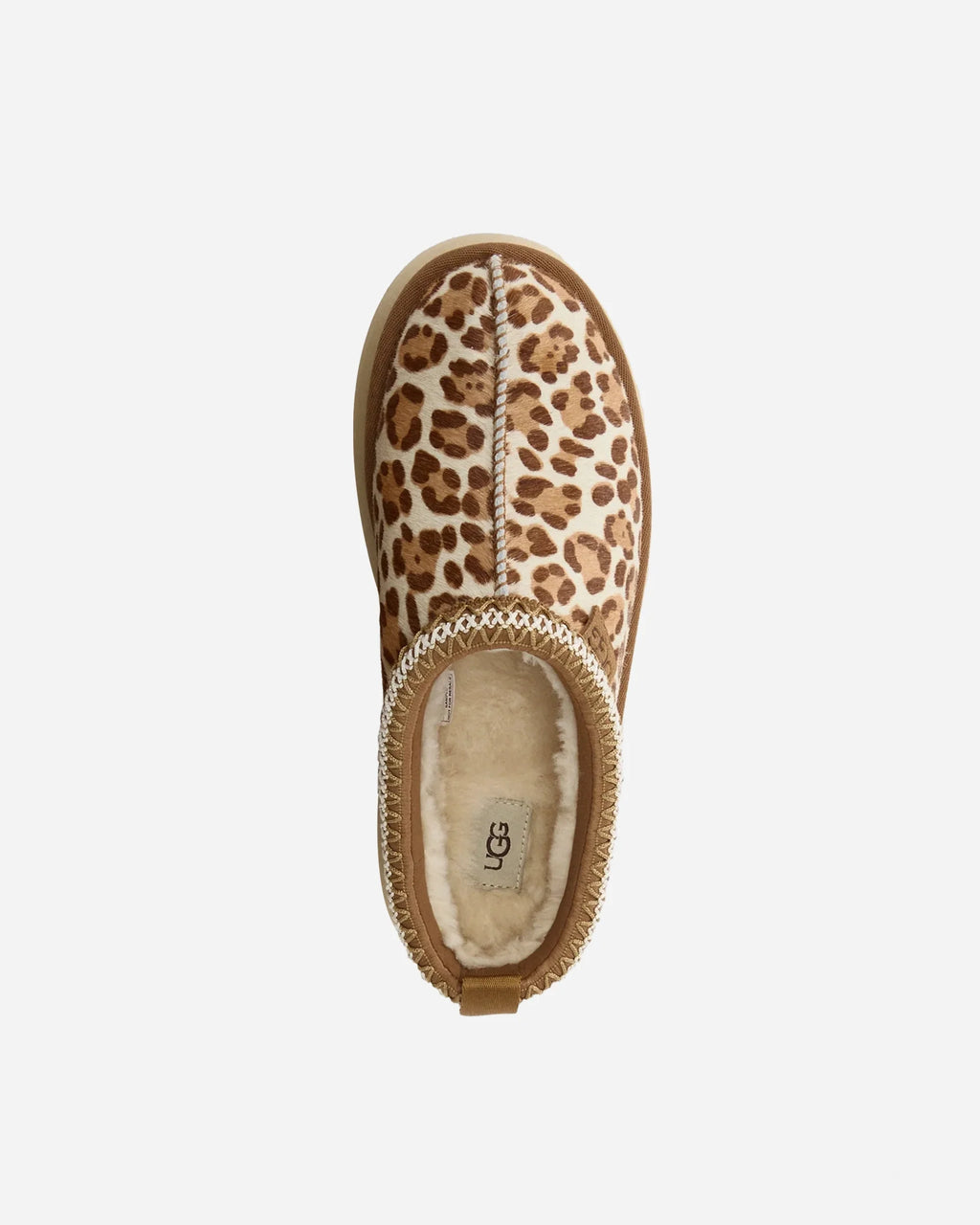 Tazz Pains Felicity Leopard Jasmine