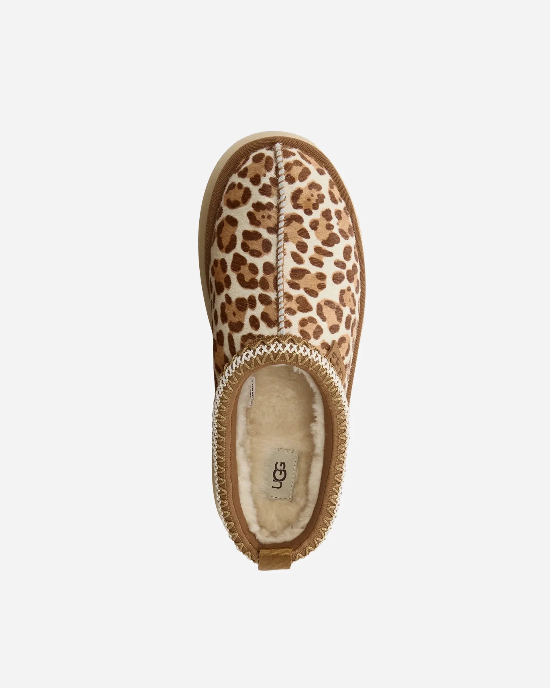 Tazz Pains Felicity Leopard Jasmine