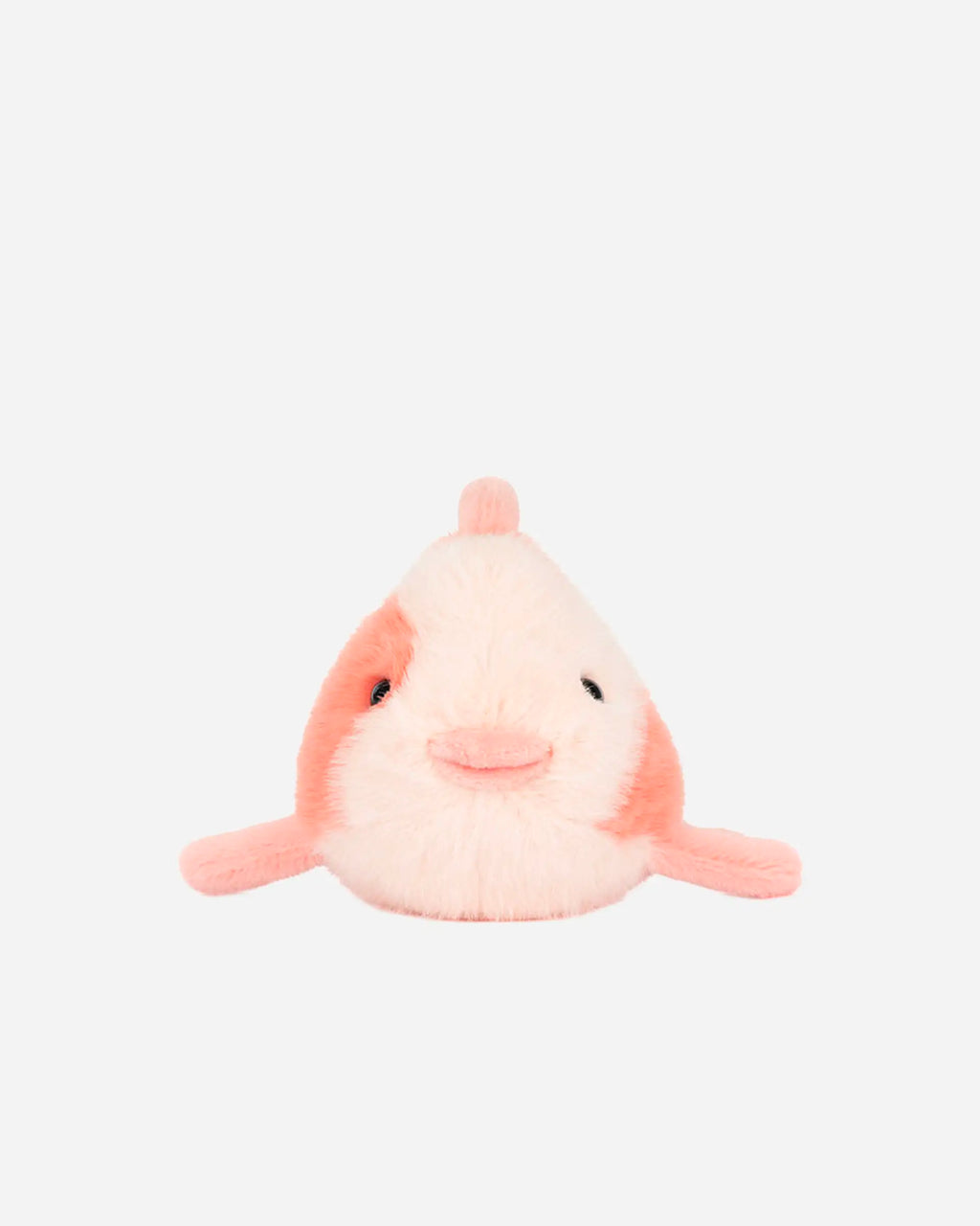 Fancy Carp