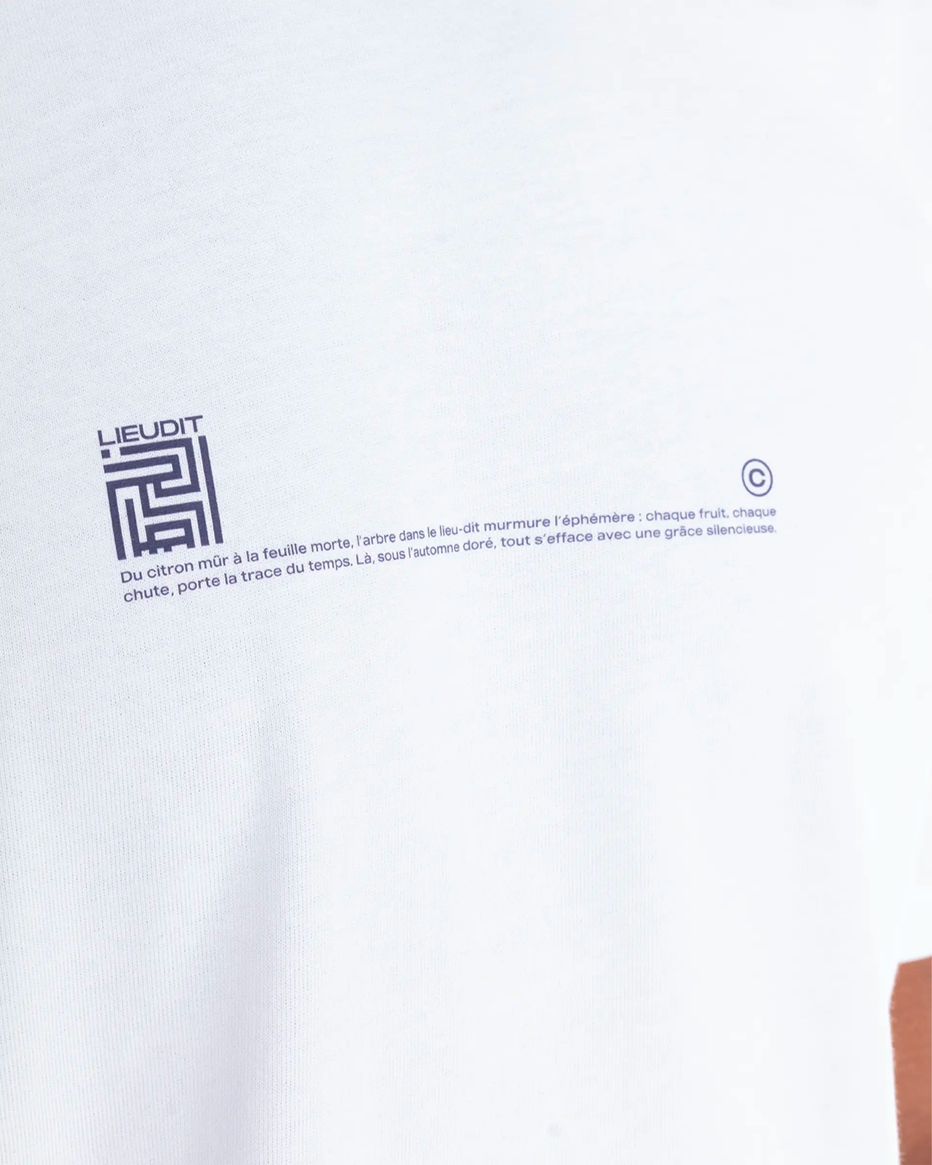 T-Shirt Kilim
