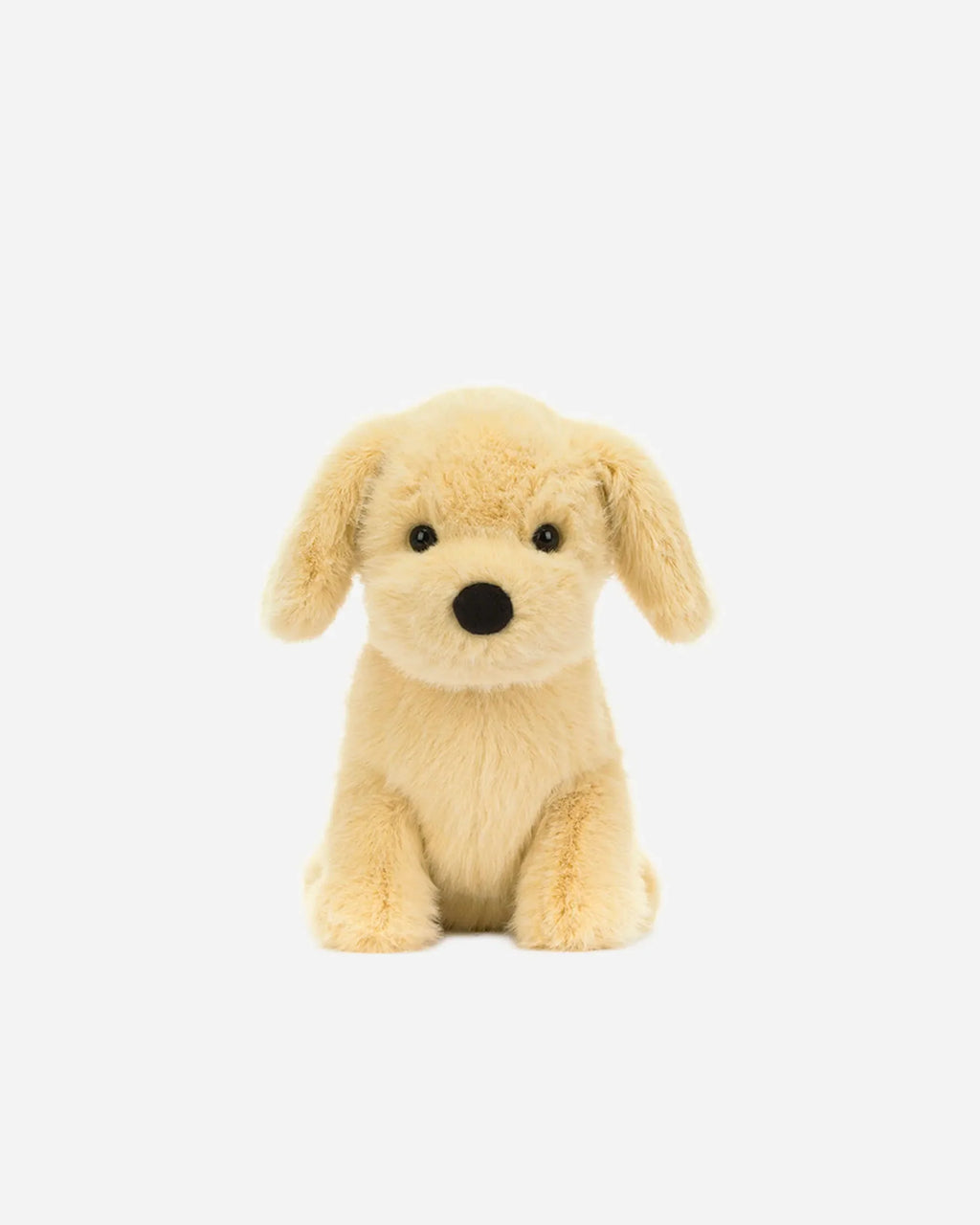 Golden Puppy