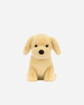 Golden Puppy