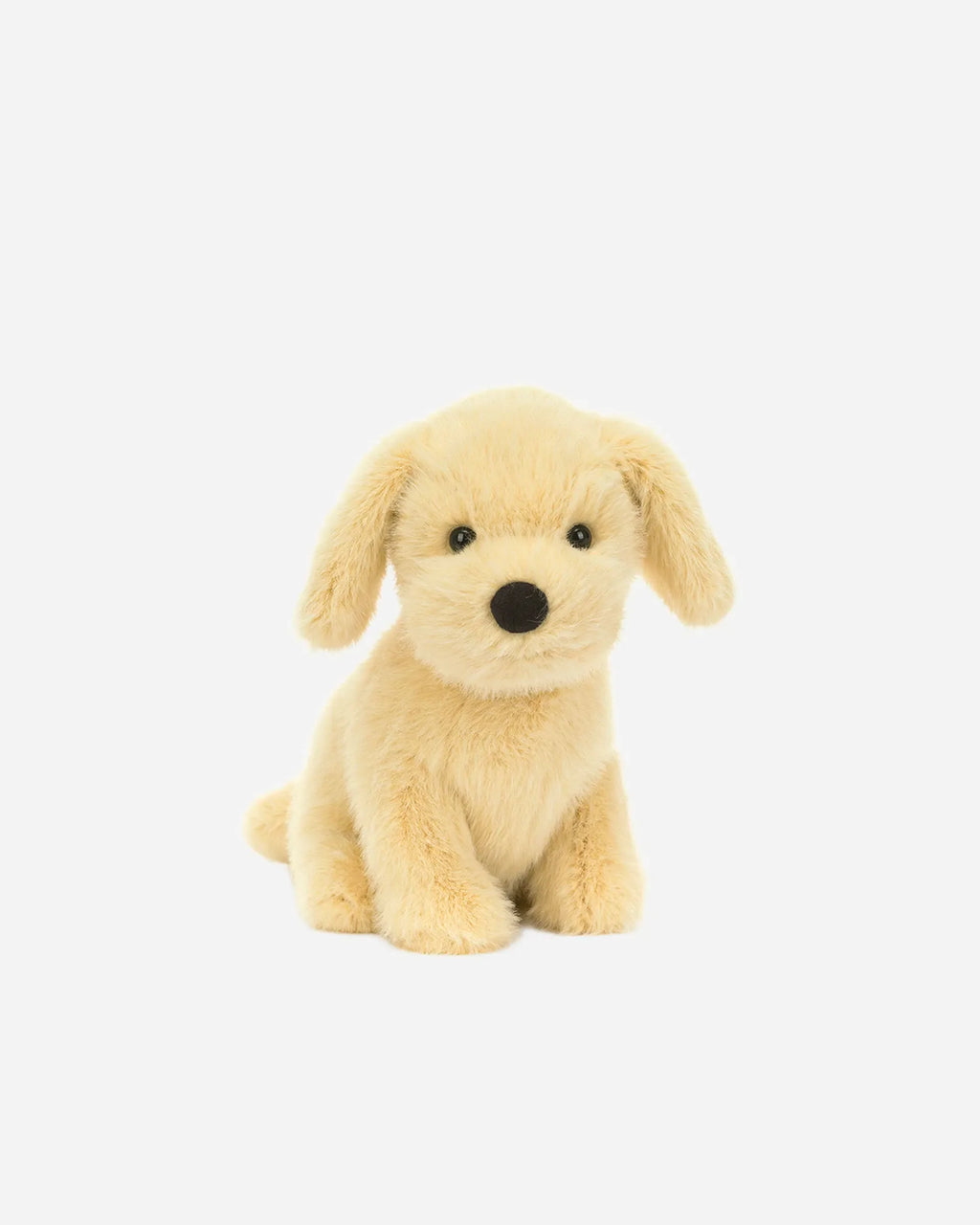 Golden Puppy