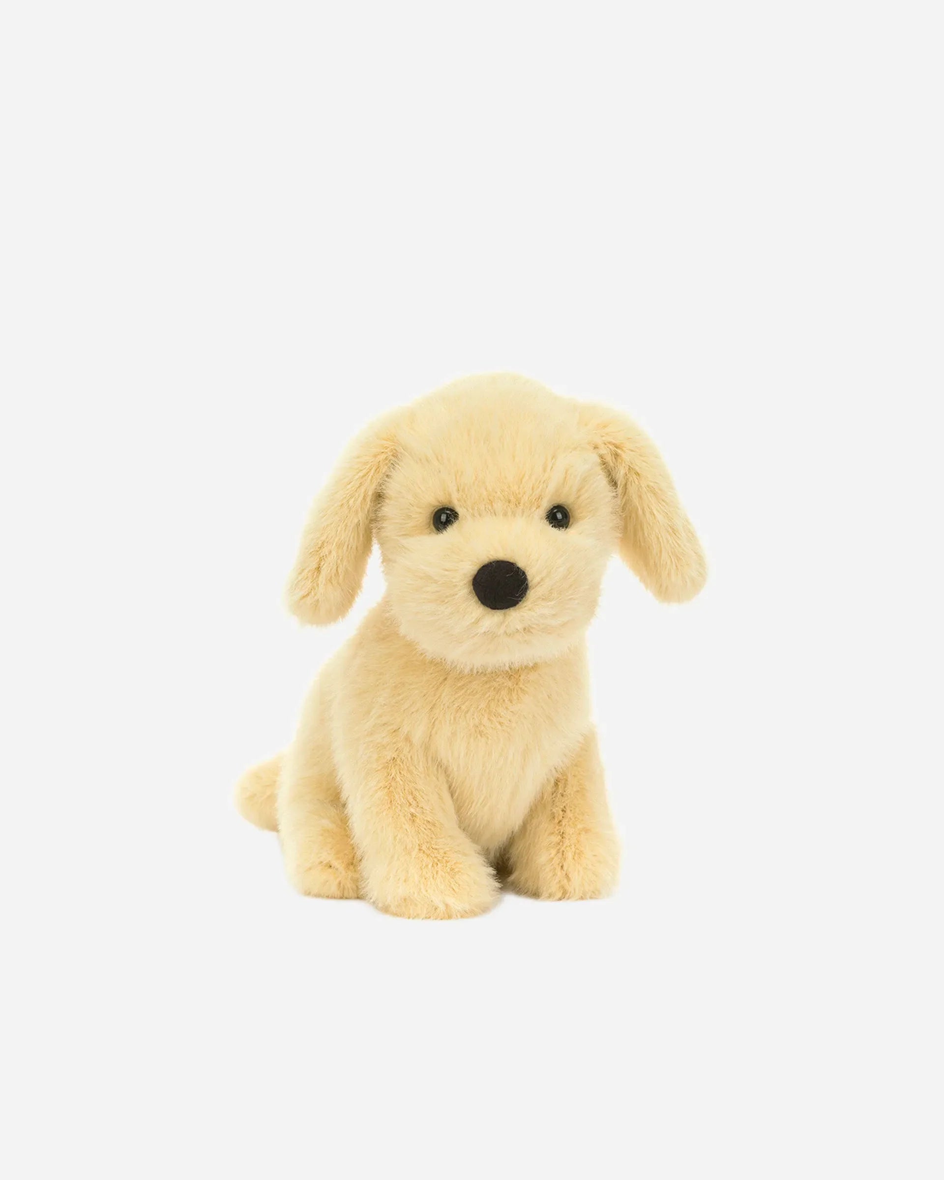 Golden Puppy
