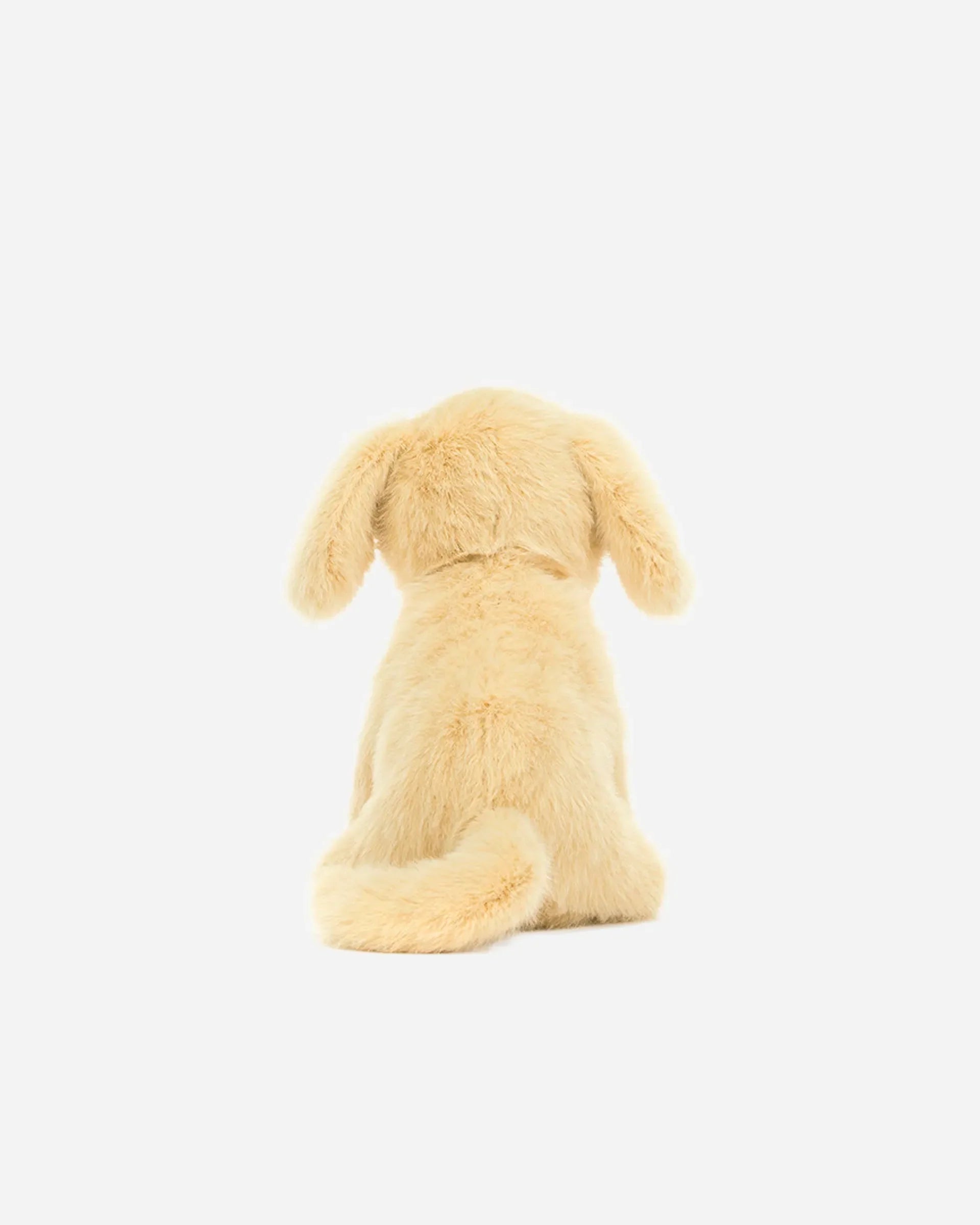 Golden Puppy