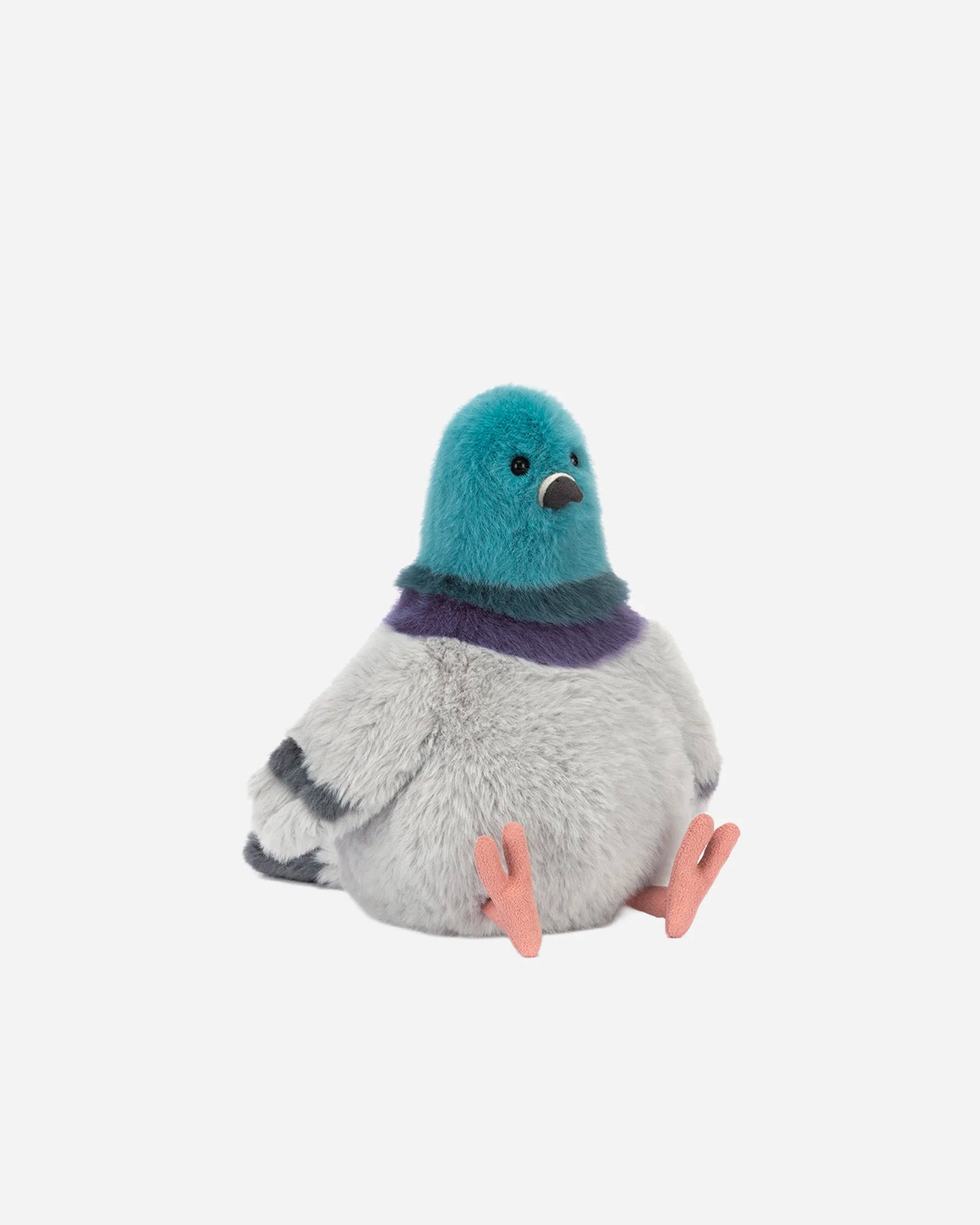 Strutton Pigeon