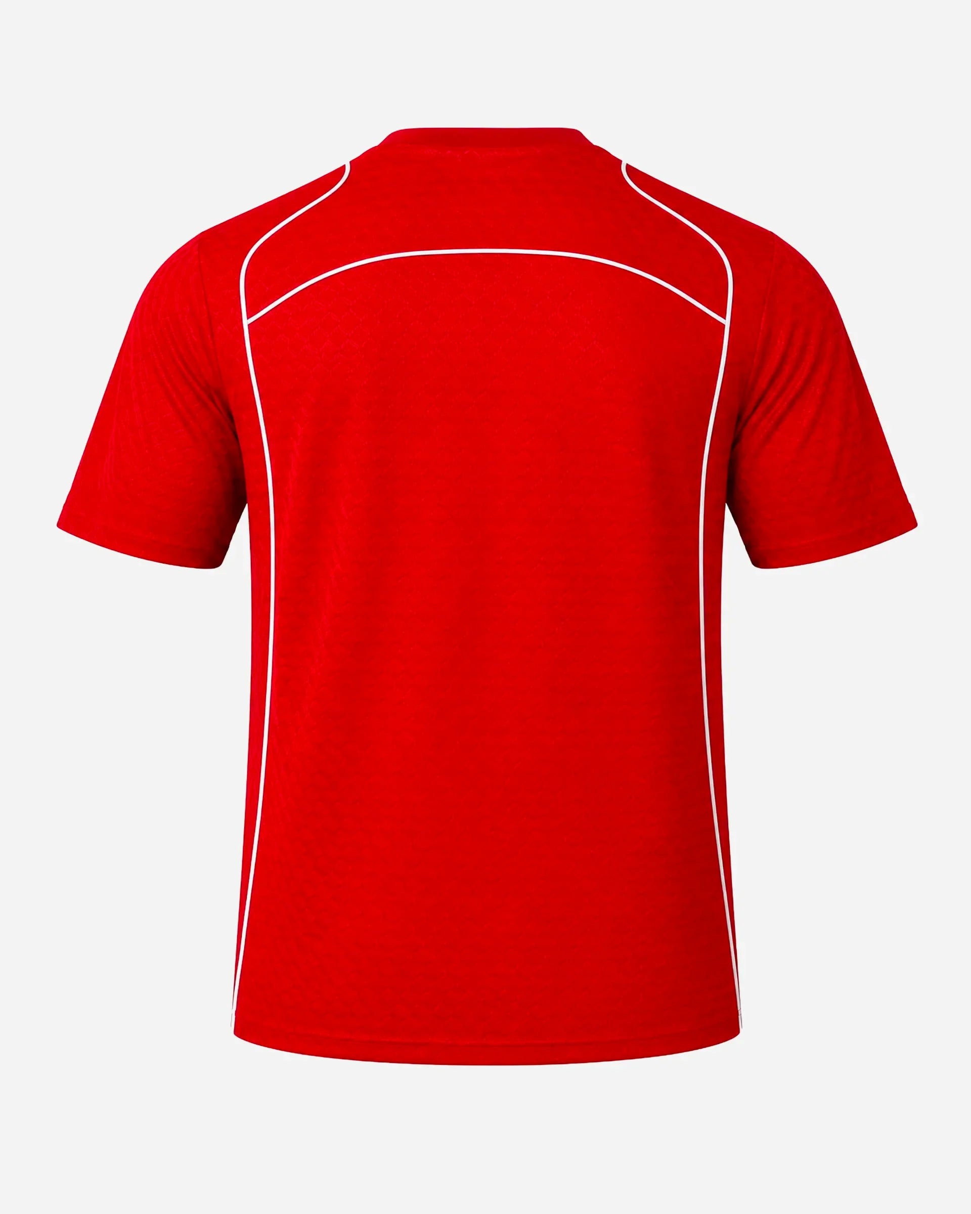 Maillot Coupe du Monde Tunisie
