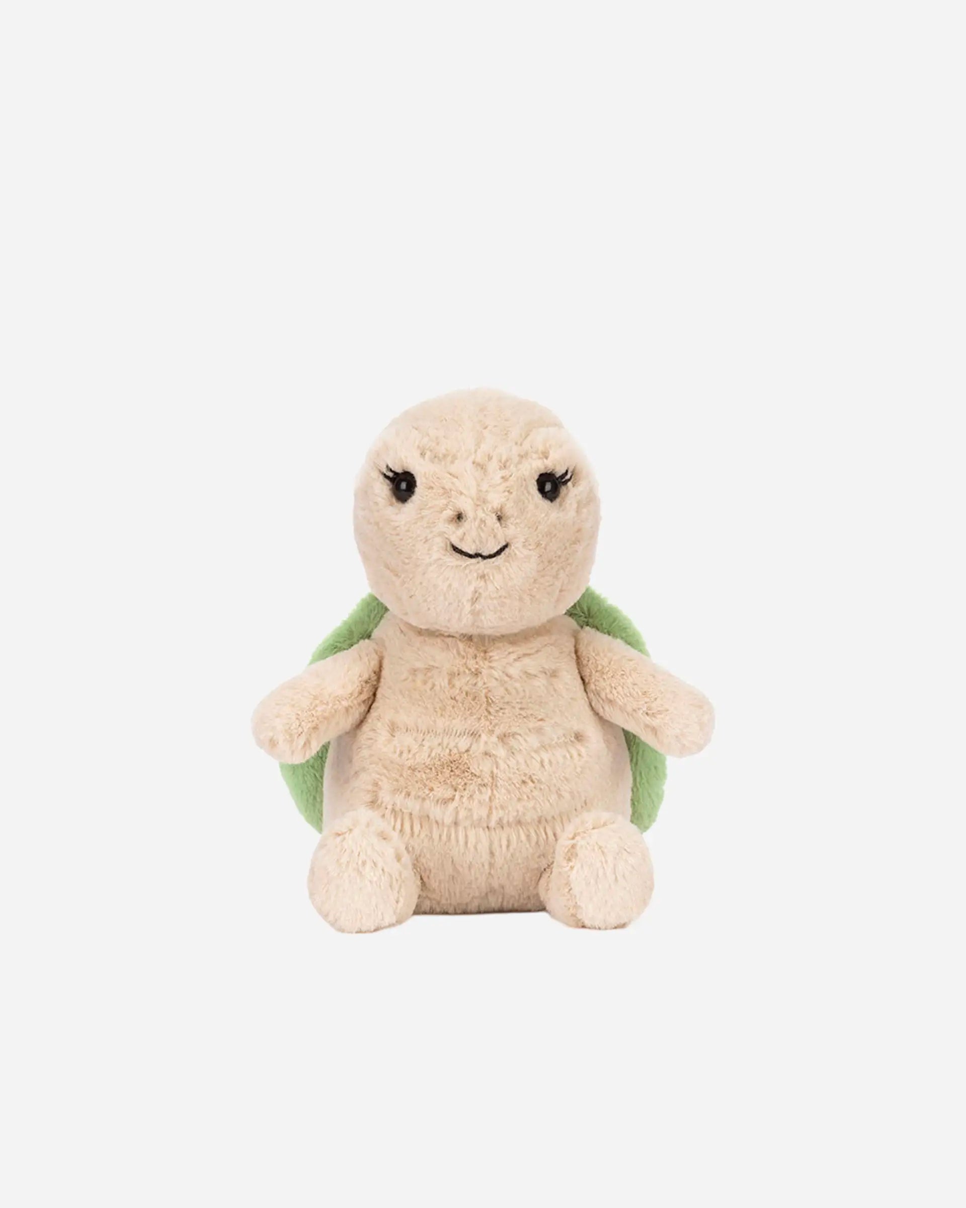 Thimble Turtle