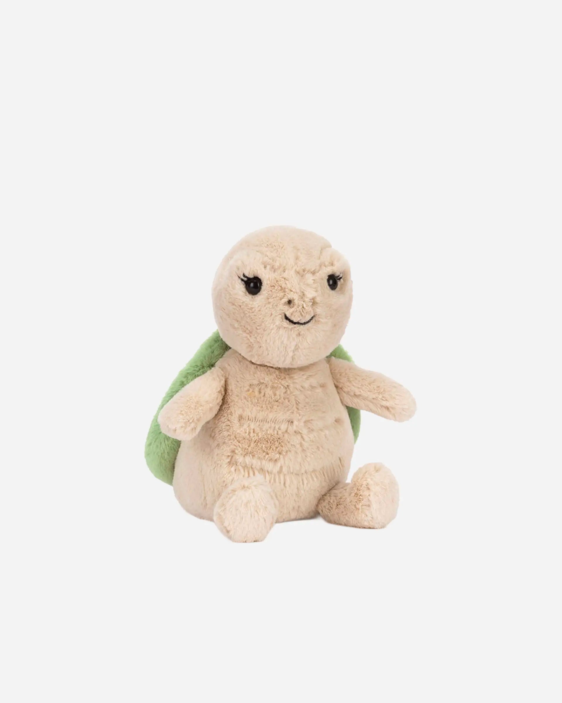 Thimble Turtle