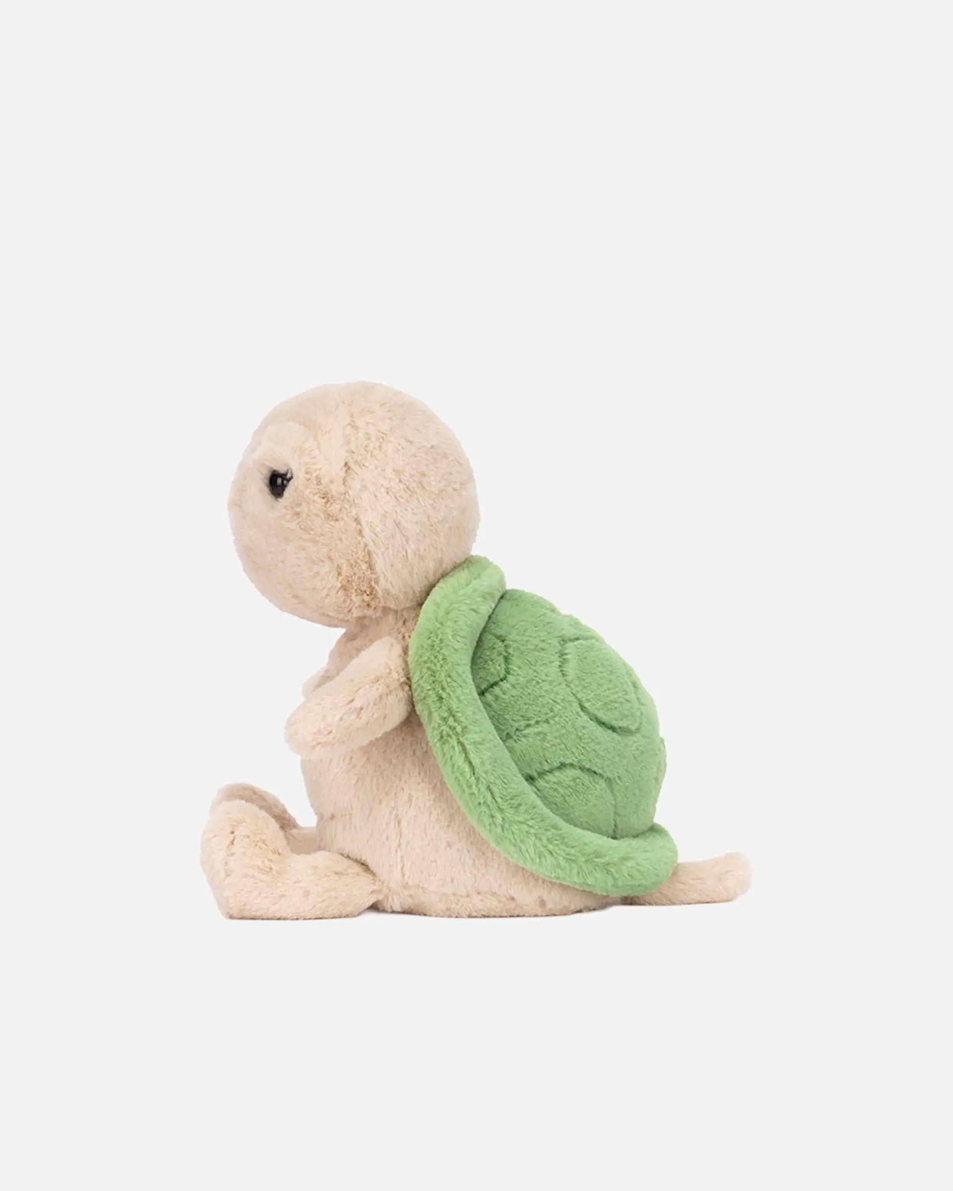 Thimble Turtle