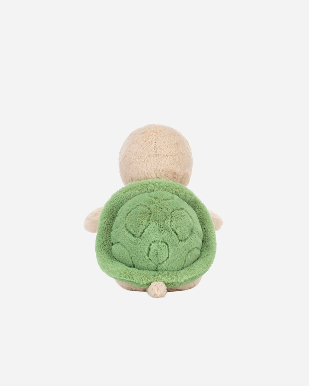 Thimble Turtle
