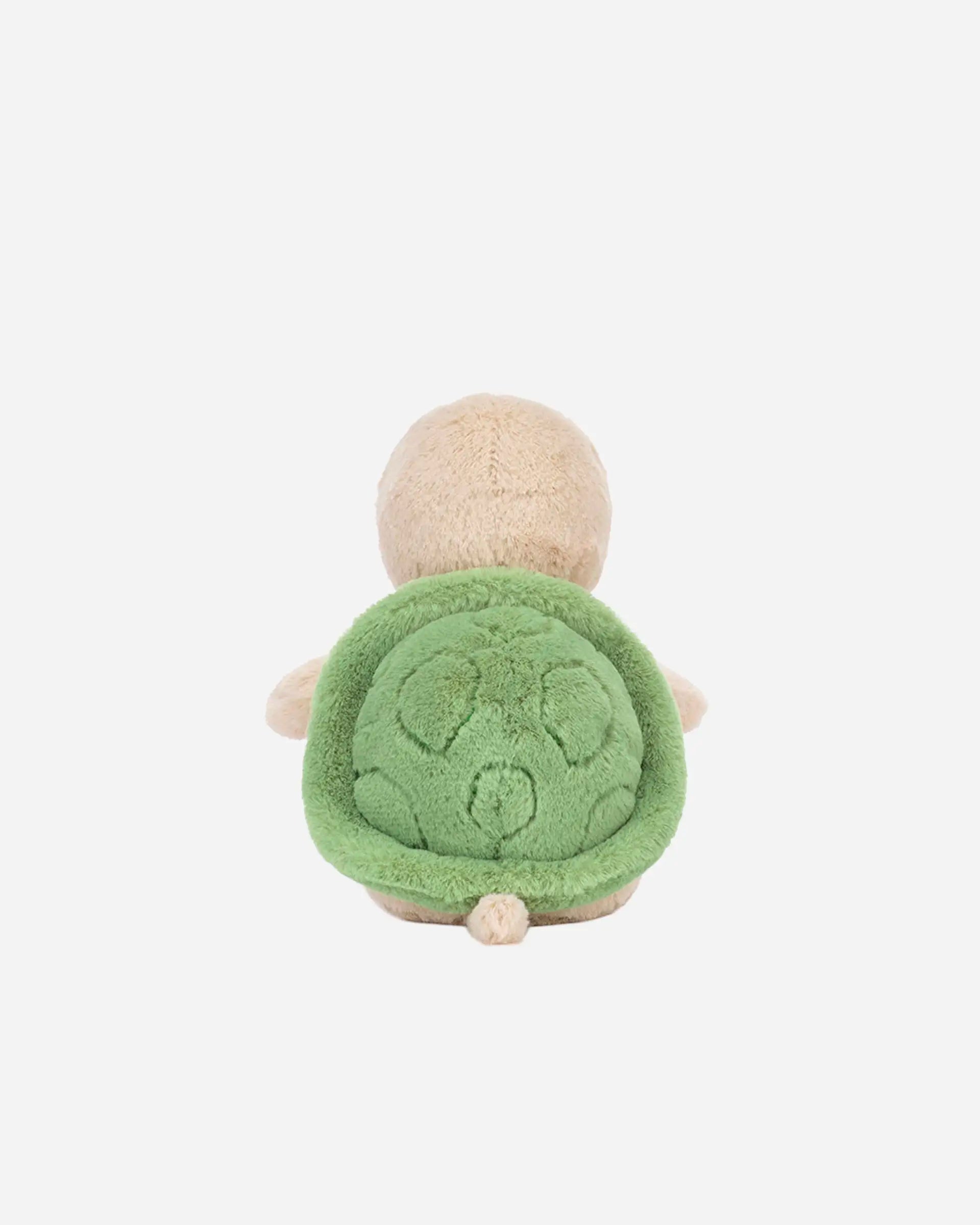 Thimble Turtle